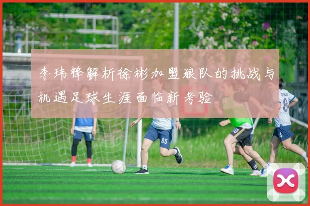 李玮锋解析徐彬加盟狼队的挑战与机遇足球生涯面临新考验